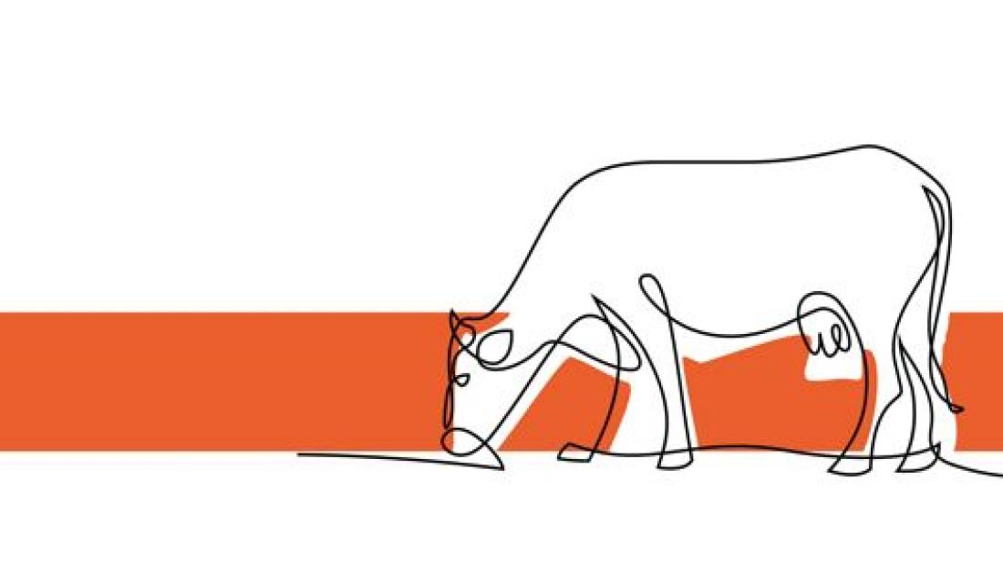 Teaser Modul 1: Tierisch viel CO2.