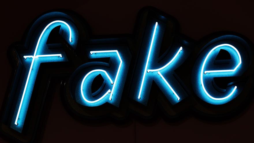 BILD_Fake