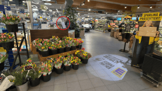 BILD_Rückruf Cereuid